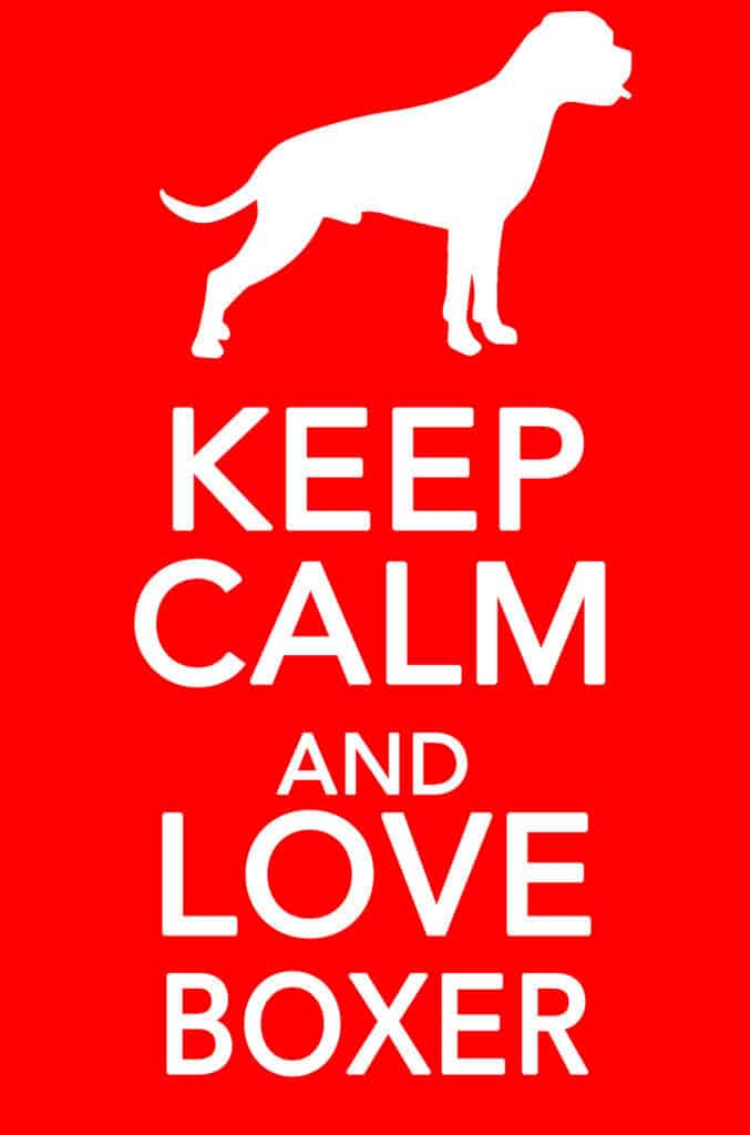 Keep Calm And Love Boxer