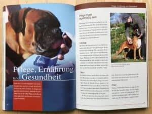 Deutscher Boxer Buch - Kapitel Pflege