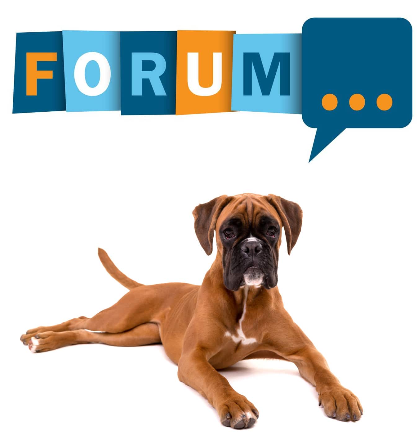 Deutscher Boxer Forum - Fragen und Antworten zum Boxer